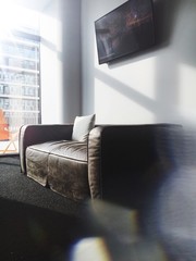 Leather Sofia in modern living room