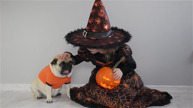 Cute girl and her little dog are dressed in suits for Halloween. Child in an image of sorcerer sits on floor. Pumpkin - Halloween symbol