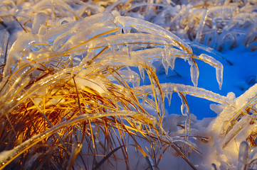 grass covered with a layer of ice, snow sparkle sparkling in the sunlight,  winter natural background.

