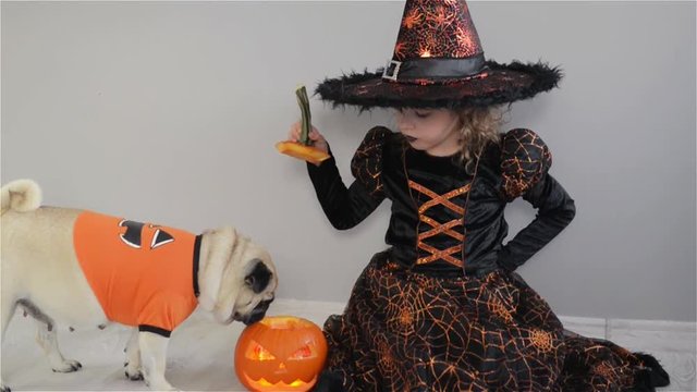 Cute girl and her little dog are dressed in suits for Halloween. Child in an image of sorcerer sits on floor. Pumpkin - Halloween symbol