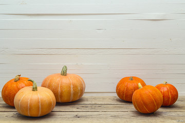 Several pumpkins on a white background wooden planks.
