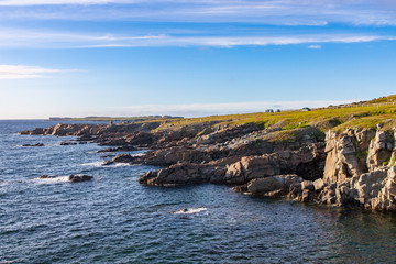 Fototapeta premium Rocky coastline near Cape Bonavista, Newfoundland