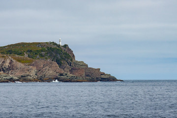 White Lighthouse on Cliffs in Newfoundland