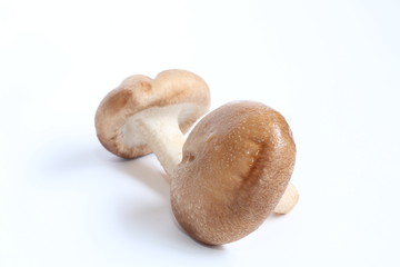 椎茸