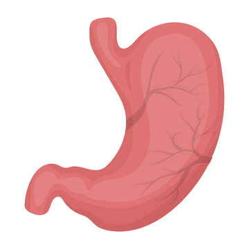 Stomach Cartoon Images – Browse 26,766 Stock Photos, Vectors, and Video |  Adobe Stock