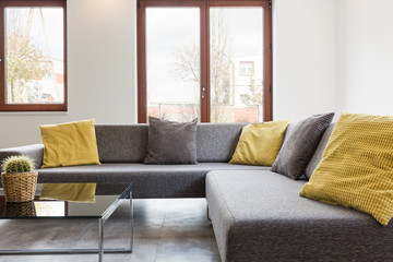 Grey and yellow pillows