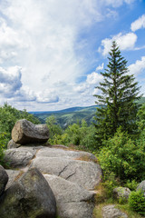Idyllische Landschaft Feigenbaumklippe, Naturpark Harz
