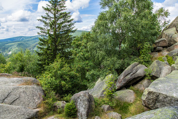 Fototapeta na wymiar Umgebung auf der Feigenbaumklippe, Naturpark Harz