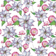 Wildflower clematis flower pattern in a watercolor style isolated. Full name of the plant: clematis, wisteria. Aquarelle flower could be used for background, texture, pattern, frame or border.