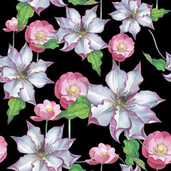 Fototapeta na wymiar Wildflower clematis flower pattern in a watercolor style isolated. Full name of the plant: clematis, wisteria. Aquarelle flower could be used for background, texture, pattern, frame or border.