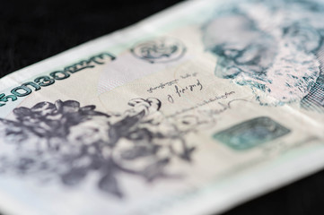 Georgian banknote of ten lari close up