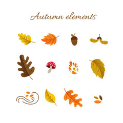 Autumn elements set