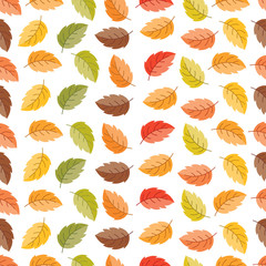 Vector autumn seamless pattern with colorful leaves. Autumn elements isolated on white background. Perfect for wallpaper, gift paper, pattern fills, web page background, autumn greeting cards.