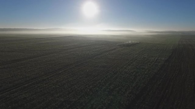 Morning fog over green field. Aerial footage