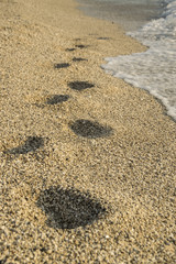 Fototapeta na wymiar Steps in the sand next to the clear blue sea