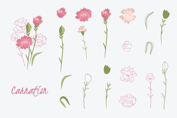 Greeting card Spring carnation flower