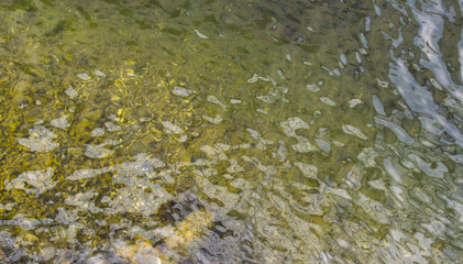 Wavelets on the sea surface 3