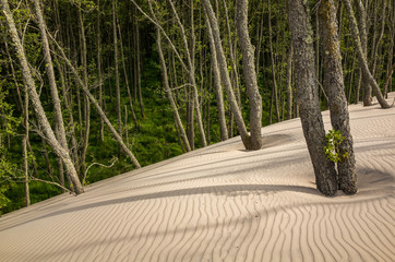 Lontzke dune