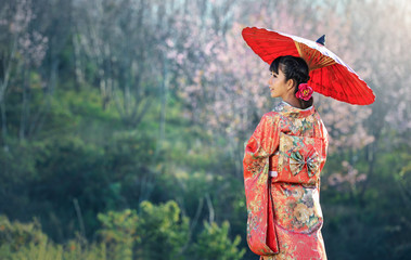 Asian woman wearing traditional japanese kimono, sakura background - obrazy, fototapety, plakaty