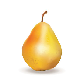 Pear. Vector illustration. 3D