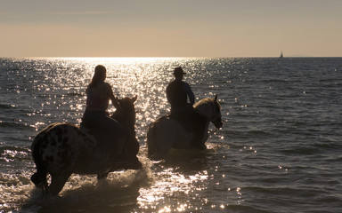 horse riders in the sea