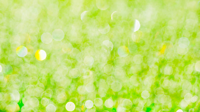 Morning dew on grass blurred green  bokeh background