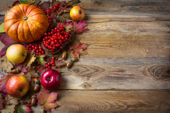Thanksgiving  greeting background with pumpkins, apples and fall
