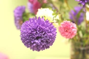 Bouquet of colorful flowers on a background of yellow background closeup