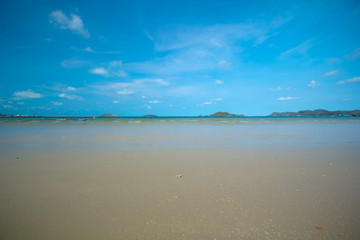 To To sea lover