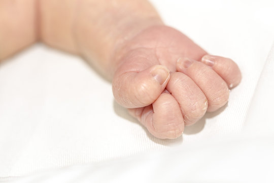 White newborn baby tiny cute hand