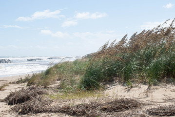 Naklejka premium Beach Dunes at Fort Story