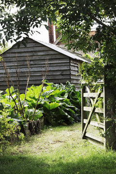 An open gate and barn in a mature garden with trees and shrubs. 