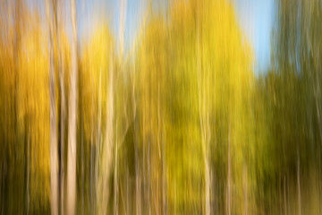 Abstract autumn landscape - 121954097