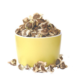 sementes de moringa oleifera