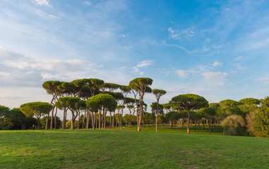 Fototapeta premium Rome (Italy) - The public park and fountains of Villa Doria Pamphili, located on the Gianicolo hill.