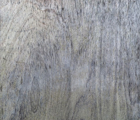Wooden texture