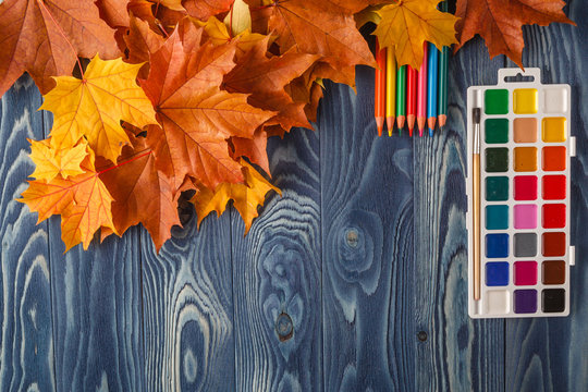 pencil and autumn leaves on wooden table. Back to school concept