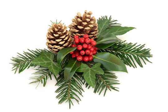 Christmas.greenery Images – Browse 37,433 Stock Photos, Vectors, and Video