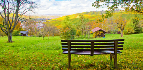 Blick auf die Weinberge, Ruhebank in den Streuobstwiesen