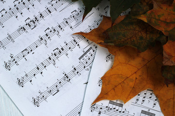 Ноты и кленовые листья желтые