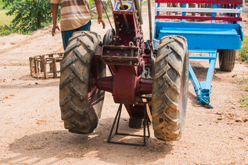 Obraz premium pushcart with ingredient