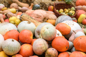 Obraz na płótnie Canvas Pile of colored pumpkins and gourds in Moldova, wooden basket and hay