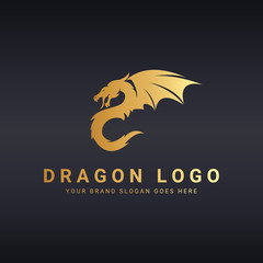 Dragon logo template.  - 121958891