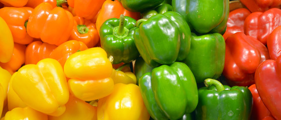 Fresh yellow, orange, green and red organic bell peppers capsicum on display for sale at local...