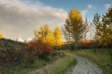 Autumnal footpath