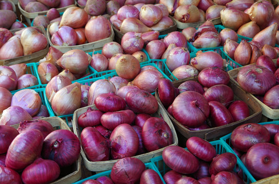 Red oinion varieties displayed in containers for market display