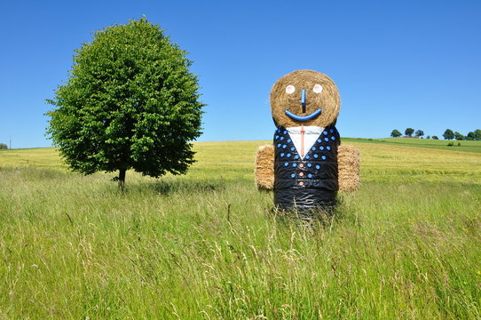 Strohfigur in Bergwiese im Frankenwald