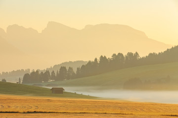 Obraz premium Foggy morning in Alpe di Siusi in Dolomites, Italy