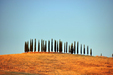 Bezauberndes Chianti