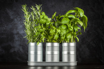 Fresh herbs on black background